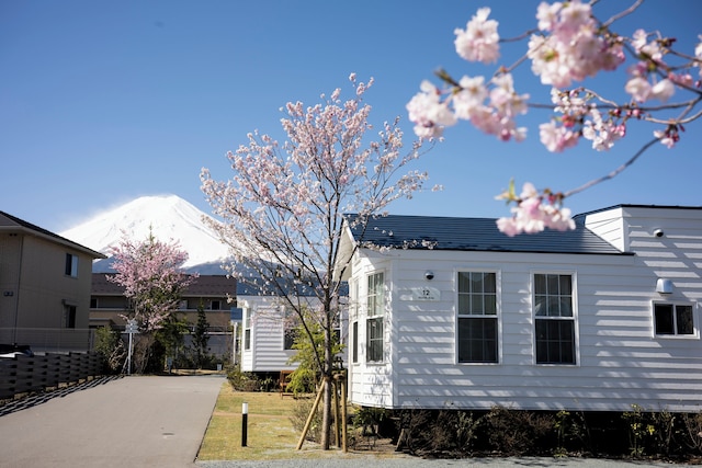 イン・ザ・富士
