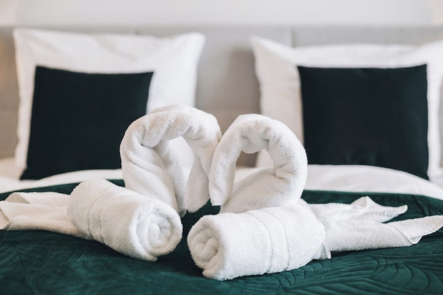 オアシス アパート - ヴォーネン イン ドレスデン