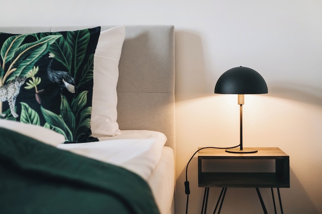 オアシス アパート - ヴォーネン イン ドレスデン