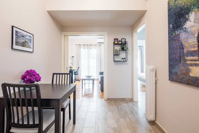 セラニーズ シック アパート イン ザ ハート オブ アテネ