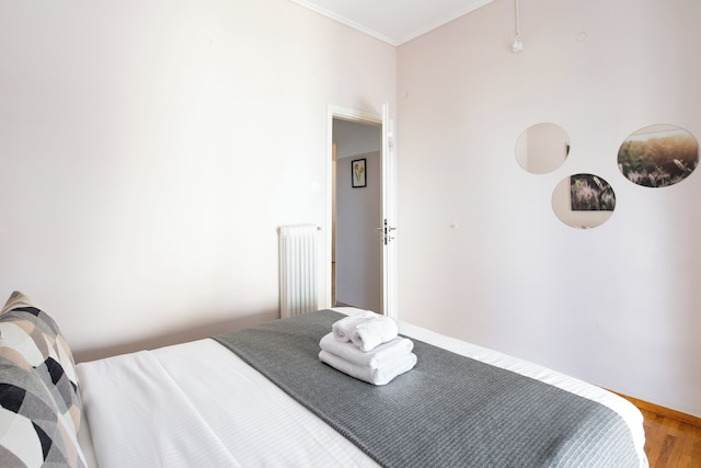 セラニーズ シック アパート イン ザ ハート オブ アテネ