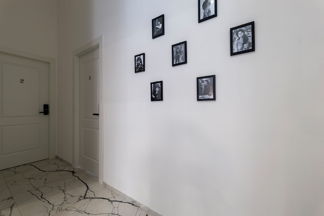 テラッツァ モイオ