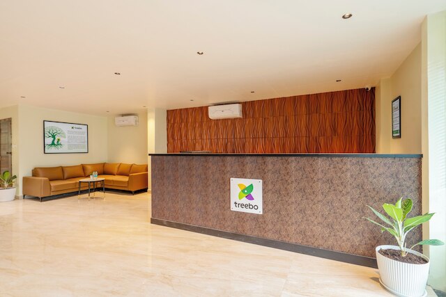 ツリーボー ジ インフィニティ バンジャラヒルズ