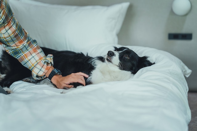 SANU 2nd Home 北軽井沢1st