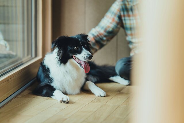 SANU 2nd Home 北軽井沢1st