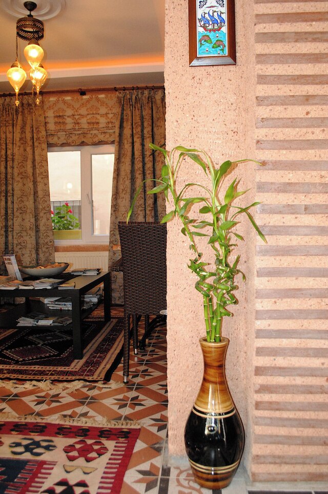 ファミリー イン ブハラ オテル