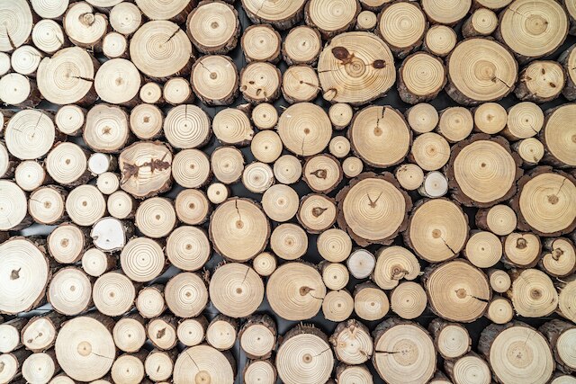 ショートステイポーランド ワヴジンカ