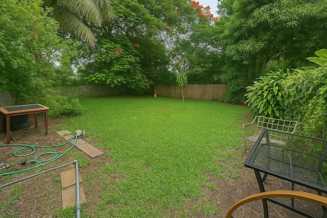 タイロナ ウィンウッド