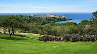 グレート オーシャン アンド ゴルフ コース ビューズ - ノー ステアーズ - Vrkcv