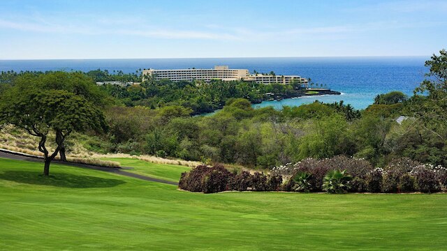 グレート オーシャン アンド ゴルフ コース ビューズ - ノー ステアーズ - Vrkcv