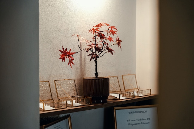 ザ ルーベンス スパーニャ