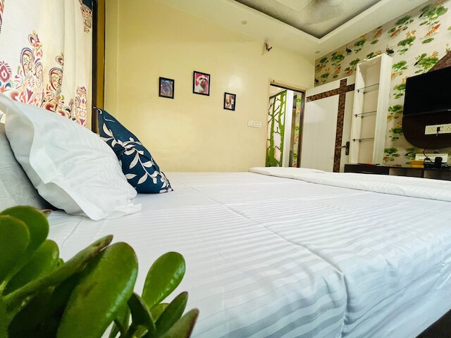 グリーン エッジ リージェンシー