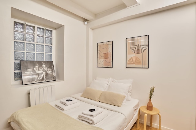 マグニフィセント フラット イン サン ジェルマン デ プレ