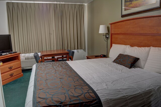 ザ パームズ モーテル