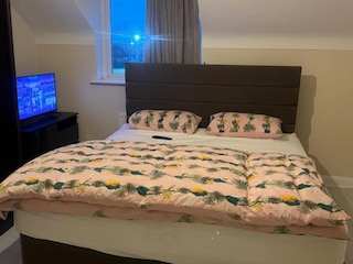 コメグロバ メガ ルーム