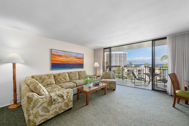 カアナパリ ショアーズ 709