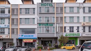 ディ パイン ツリーズ