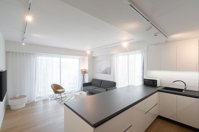 リヴ アティナム 1 - ラグジュアリー アパートメント 2A