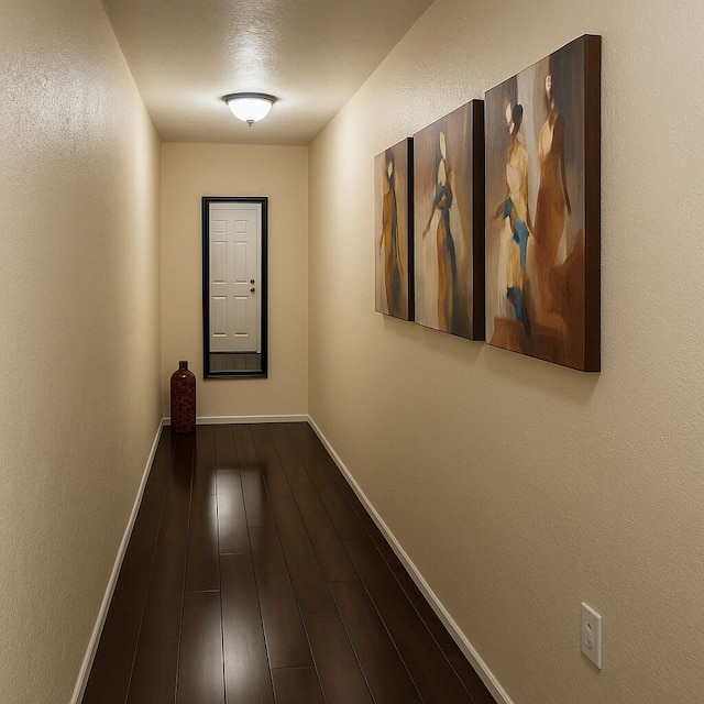 ウィンウッド ホステル