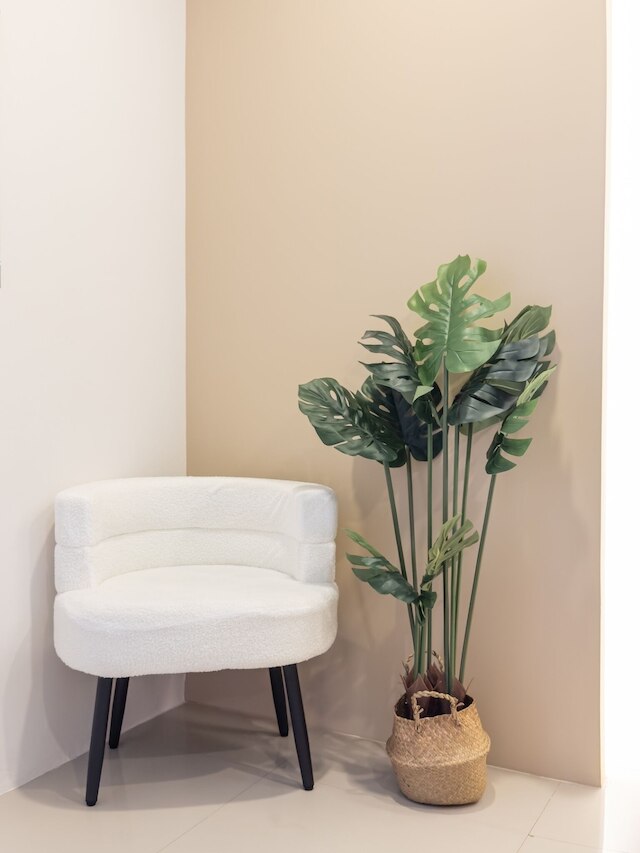 ザ シースルー コーラン