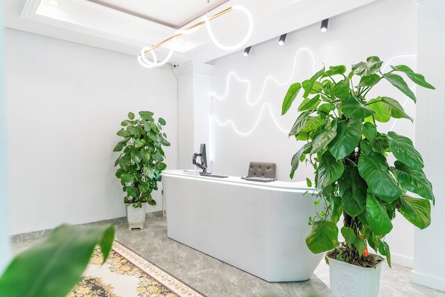 ママ ホテル アンド アパートメント