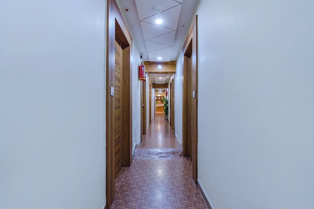 ファブエクスプレス シルバー イン