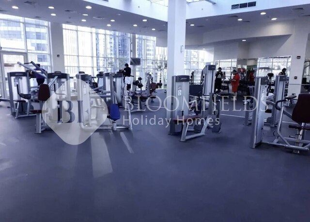 ブルームフィールド スタニング シービュー イン ハイドラ