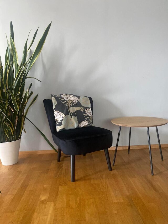 コージー アパートメント ザルツブルク, 50 m2, ウィズ ガーデン, テラス, オウン エントランス, フリー パーキング