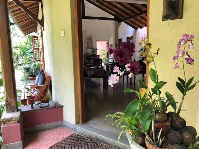 ハイベリー コロンボ