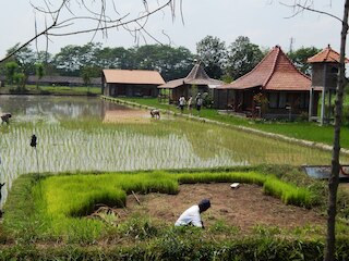 アラマンダ ファミリー ヴィラズ & プール