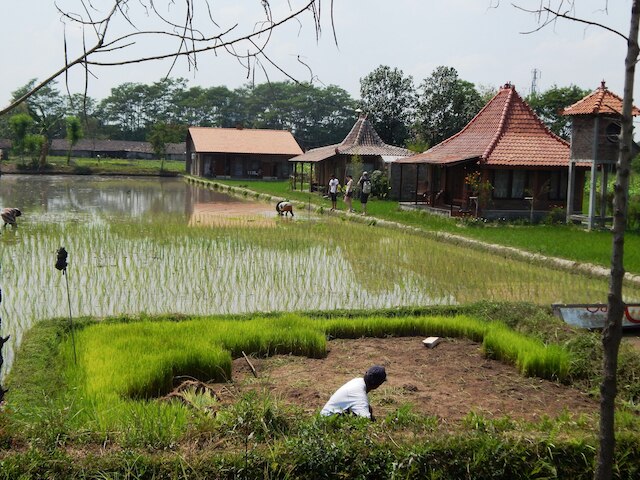 アラマンダ ファミリー ヴィラズ & プール