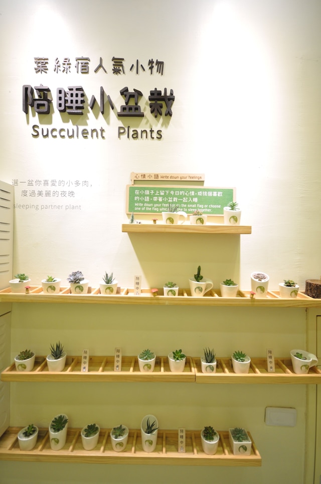 グリーン ホテル - 逢甲 (葉綠宿旅館 - 逢甲館)