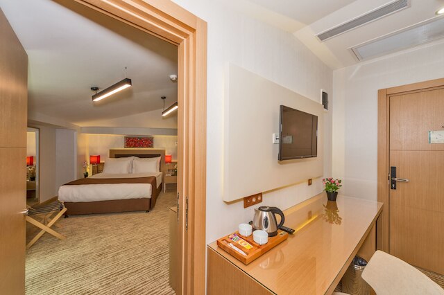 ホテル ブルシエー 1 & スパ イスタンブール