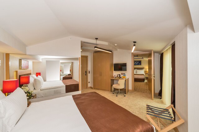 ホテル ブルシエー 1 & スパ イスタンブール