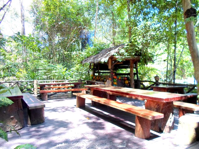 カオ ソク ツリー ハウス