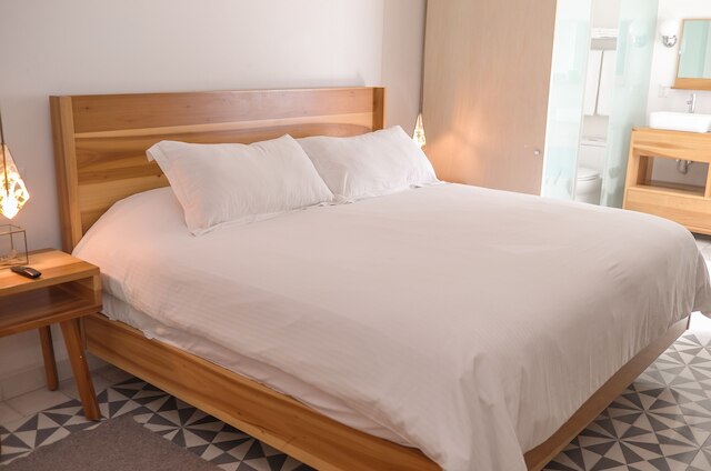 ホテル カサ ヌエボ レオン