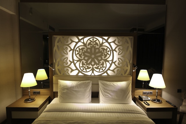 ダウンタウン アンカラ ホテル バイ アコー