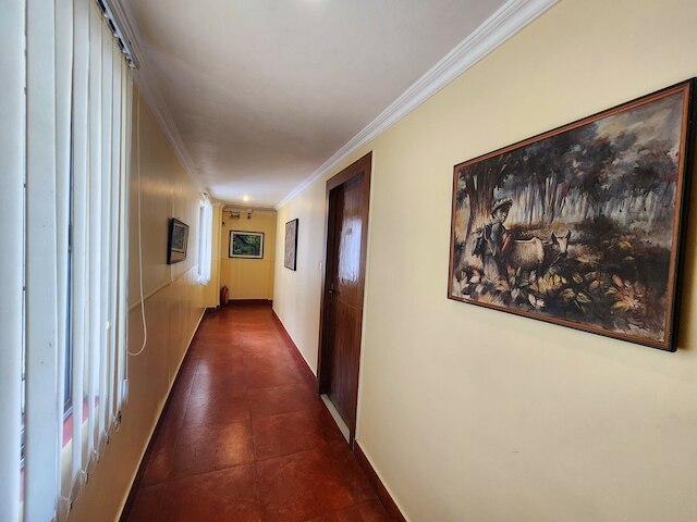 ワイズ オウル コンフォテル