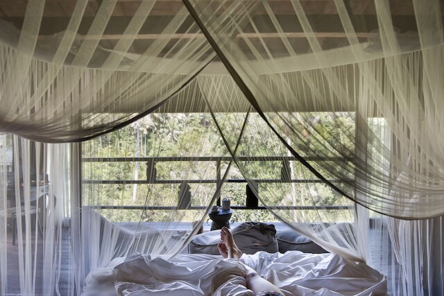 ブルー・カルマ・ディジワ・ウブド