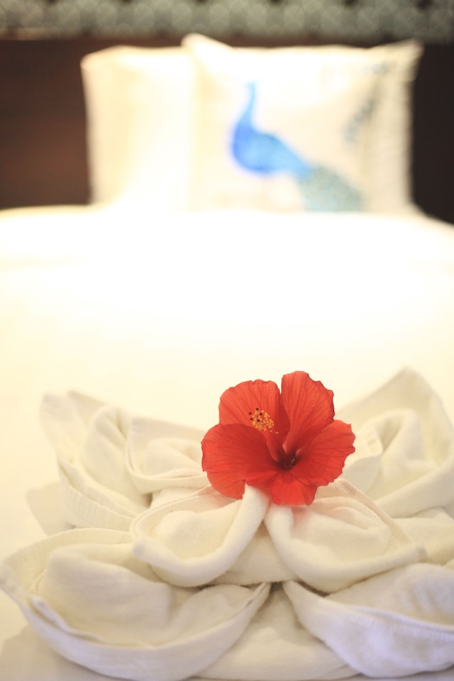 シャトー ドゥ スクンビット