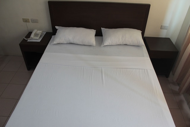 ジョイス アパテレ カレントン