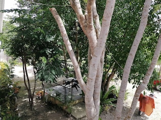 アルミラ ダイビング リゾート