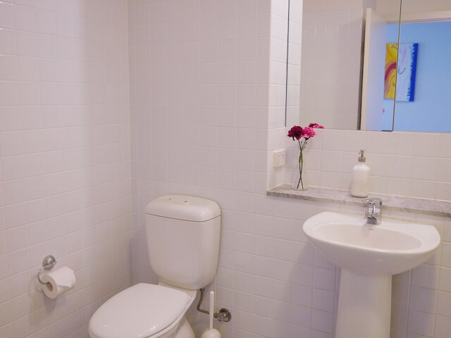 アンカー オン エリザベス