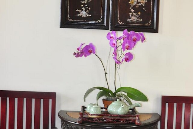 ボンサイ ヴィラ ホイアン