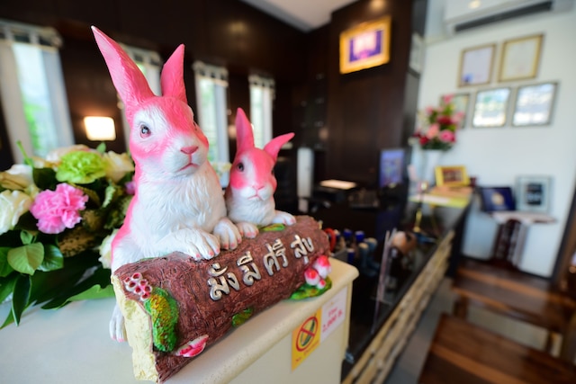 ラペーパン ヴィッレ