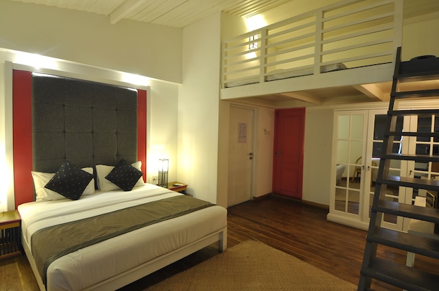 アイビー レーン コロンボ