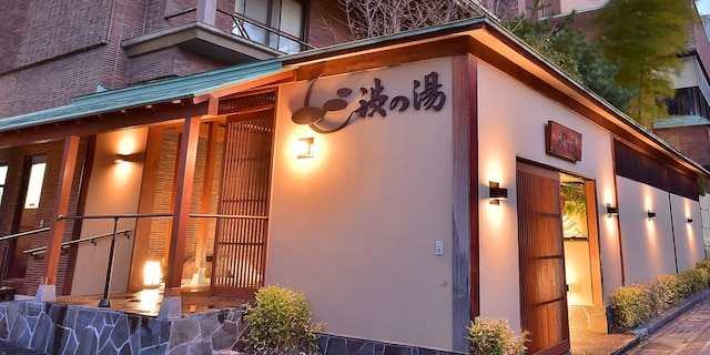 かけ流し源泉の宿 渋の湯