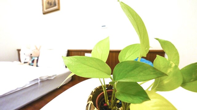 エンカウンター ホステル