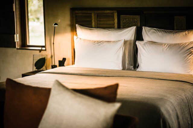 ザニエール フム バイタン