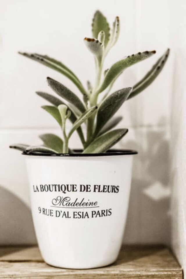 ホテル セルヴェッタ 5